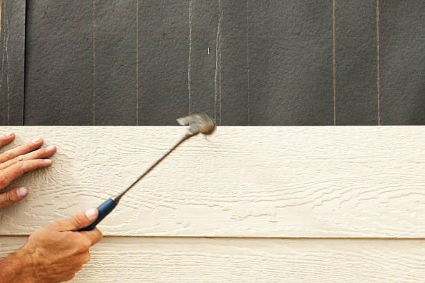 Best Siding Painting and Refinishing  in Lone Pine, CA
